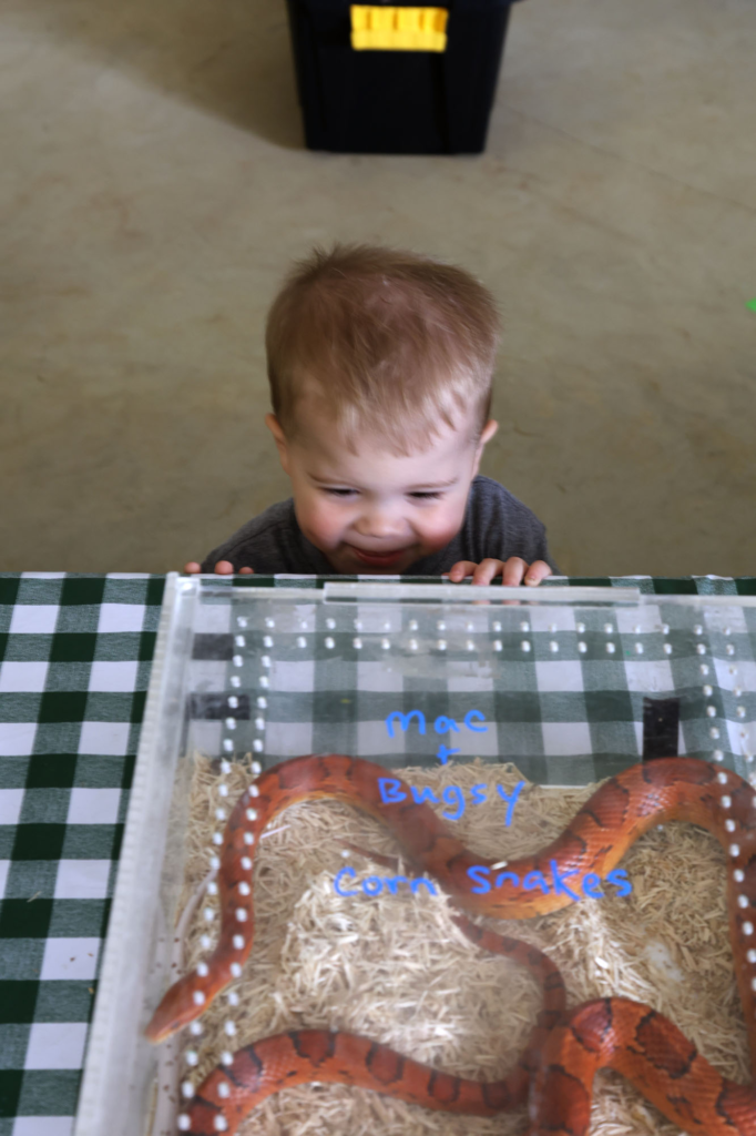 IMG_9748